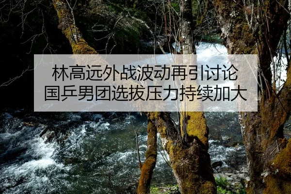 林高远外战波动再引讨论 国乒男团选拔压力持续加大